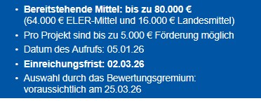 Infokasten Demokratieprojekt